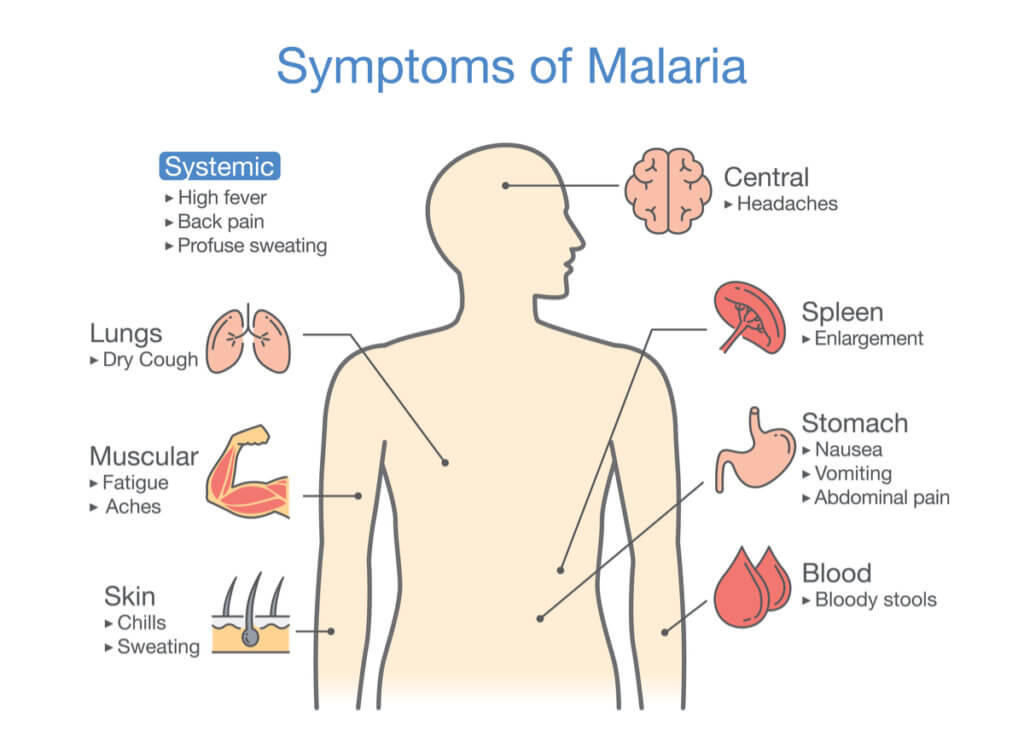 What causes malaria