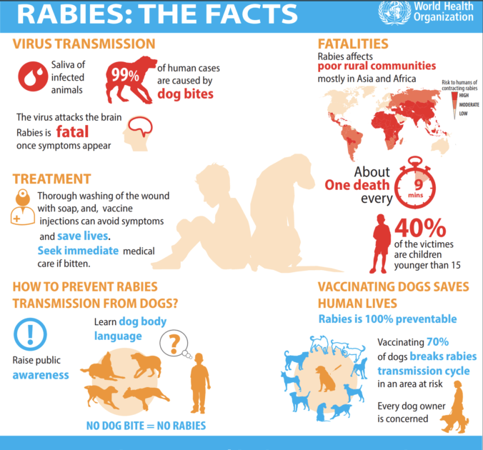 Symptoms of rabies in dogs hot sale and humans